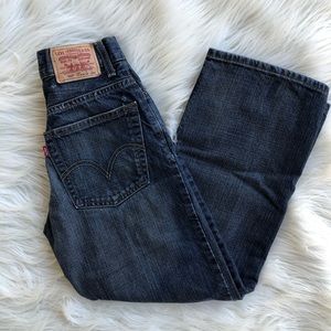 Levi Strauss & Co.